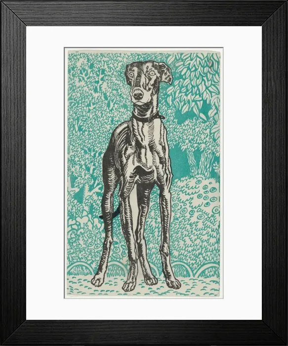 Framed Print : Greyhound, 1912. Creator: Moritz Jung Framed Print : Greyhound, 1912. Creator: Moritz Jung