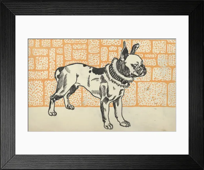 Framed Print : Pitbull Terrier, 1912. Creator: Moritz Jung Framed Print : Pitbull Terrier, 1912. Creator: Moritz Jung