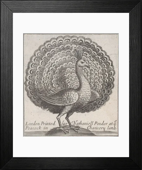 Framed Print : Trade card for Nathaniell Ponder, Bookseller, 18th century. Creator: Anon Framed Print : Trade card for Nathaniell Ponder, Bookseller, 18th century. Creator: Anon