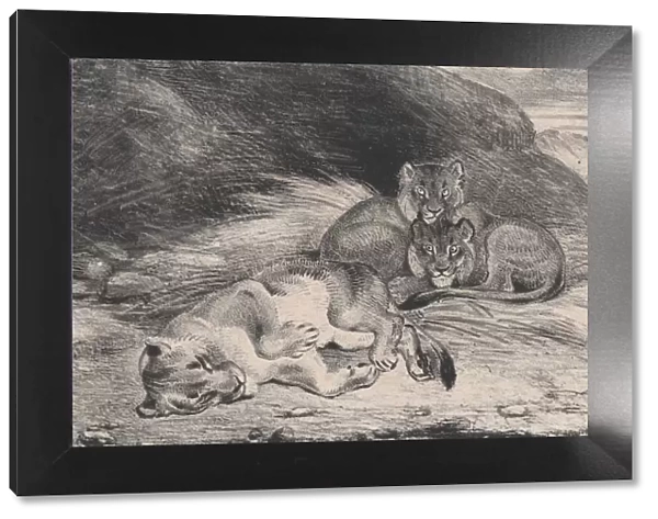 Lioness and Cubs, possibly 1832. Creator: Antoine-Louis Barye