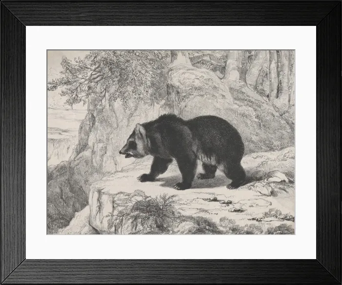 Framed Print : Mississippi Bear, 1836. Creator: Antoine-Louis Barye Framed Print : Mississippi Bear, 1836. Creator: Antoine-Louis Barye