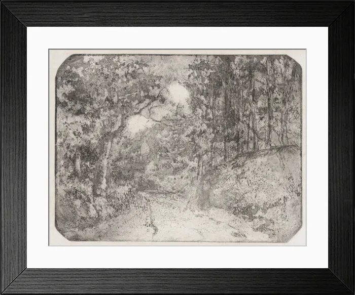 Framed Print : Chemin sous bois aPontoise, 1879. Creator: Camille Pissarro Framed Print : Chemin sous bois aPontoise, 1879. Creator: Camille Pissarro