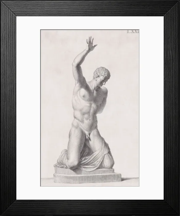 Framed Print : Plate LXXI (71): Narcissus. From Museum Florentinum Framed Print : Plate LXXI (71): Narcissus. From Museum Florentinum