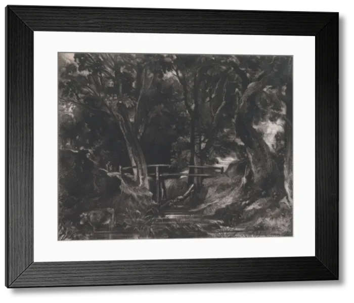 Framed Print : A Dell, Helmingham Park, Suffolk, 1830. Creator: David Lucas Framed Print : A Dell, Helmingham Park, Suffolk, 1830. Creator: David Lucas