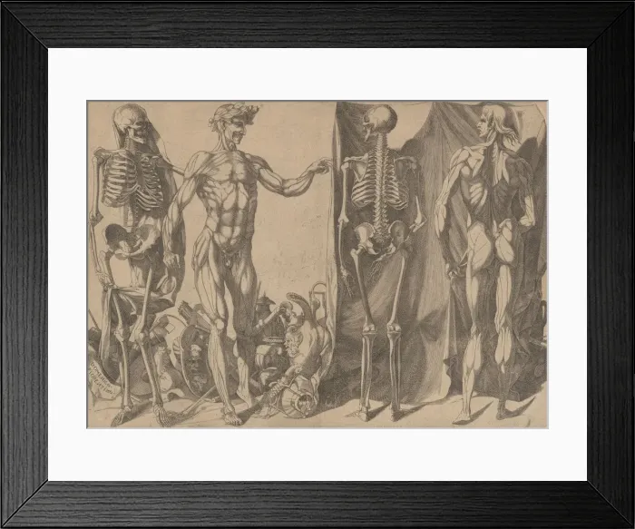 Framed Print : Two Flayed Men and Their Skeletons, ca. 1540-45. Creator: Domenico del Barbiere Framed Print : Two Flayed Men and Their Skeletons, ca. 1540-45. Creator: Domenico del Barbiere