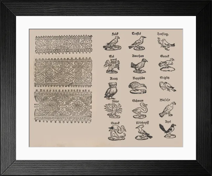 Framed Print : Modelbuch aller Art Nehens vn Stickens, 1535. Creator: Christian Egenolff Framed Print : Modelbuch aller Art Nehens vn Stickens, 1535. Creator: Christian Egenolff