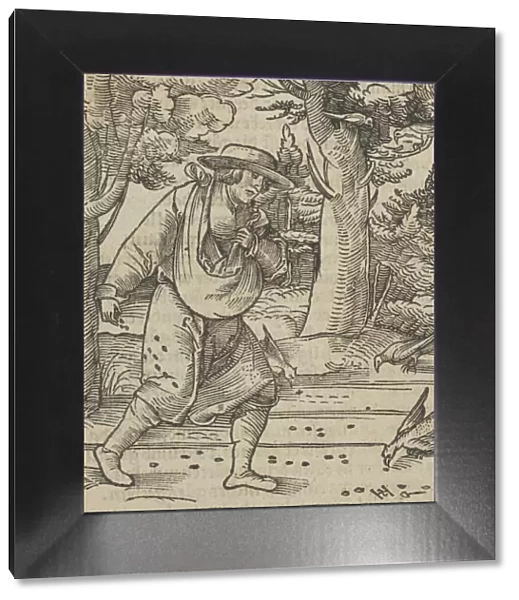 The Birds Eating the Seeds of the Sower, from Hymmelwagen auff dem, wer wol lebt... 1517