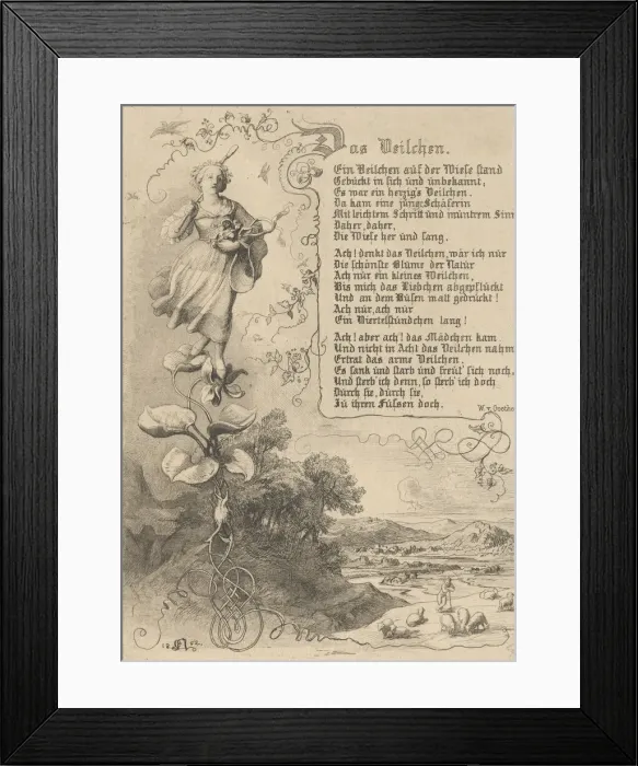 Framed Print : Waterlily, Viola, King of Thule, the Flowers Revenge, 1852 Framed Print : Waterlily, Viola, King of Thule, the Flowers Revenge, 1852