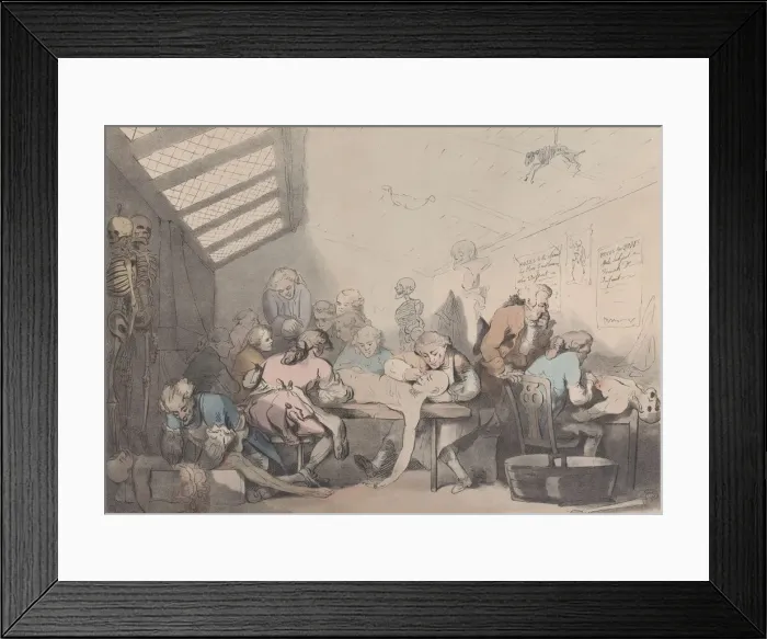 Framed Print : The Dissecting Room, ca. 1838. Creator: T. C. Wilson Framed Print : The Dissecting Room, ca. 1838. Creator: T. C. Wilson