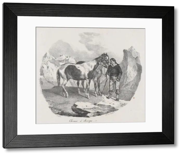 Framed Print : Horses of Auvergne, 1822. Creator: Theodore Gericault Framed Print : Horses of Auvergne, 1822. Creator: Theodore Gericault