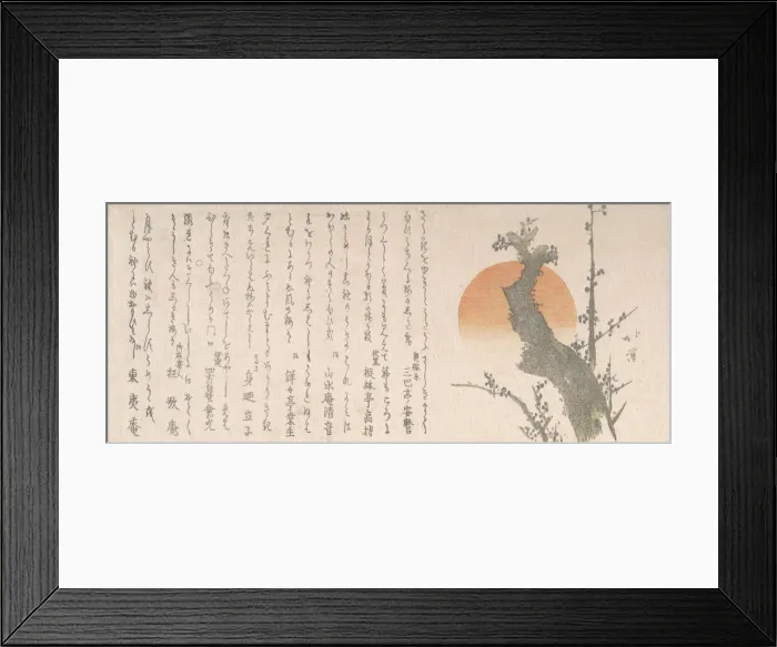 Framed Print : Rising Sun and Plum Tree, 19th century. Creator: Totoya Hokkei Framed Print : Rising Sun and Plum Tree, 19th century. Creator: Totoya Hokkei