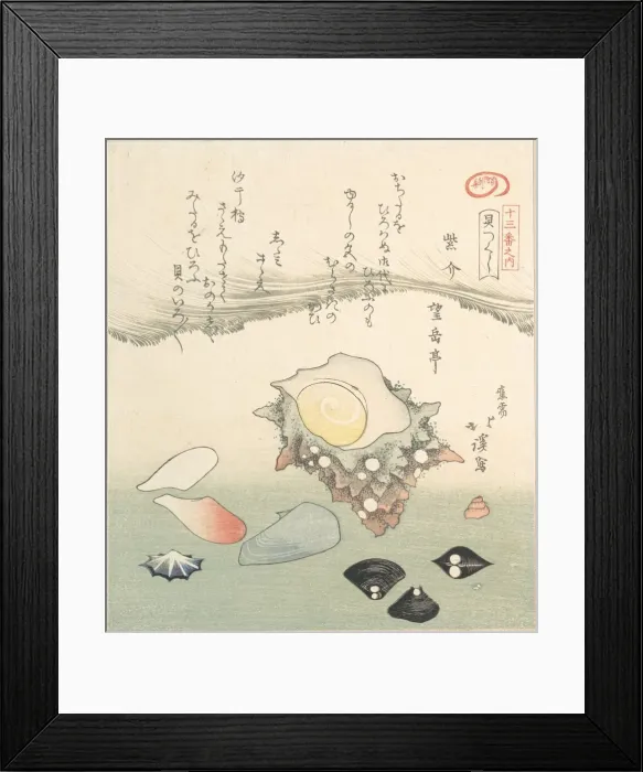 Framed Print : Top-Shell and Various Shells, 19th century. Creator: Totoya Hokkei Framed Print : Top-Shell and Various Shells, 19th century. Creator: Totoya Hokkei