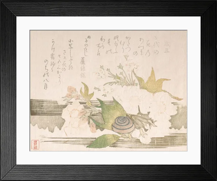 Framed Print : Cherry Blossoms and a Snail, 1816. Creator: Unknown Framed Print : Cherry Blossoms and a Snail, 1816. Creator: Unknown