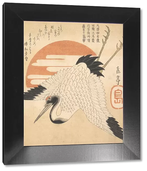 White Crane Flying across the Suns Disc, 1835?. Creator: Gakutei