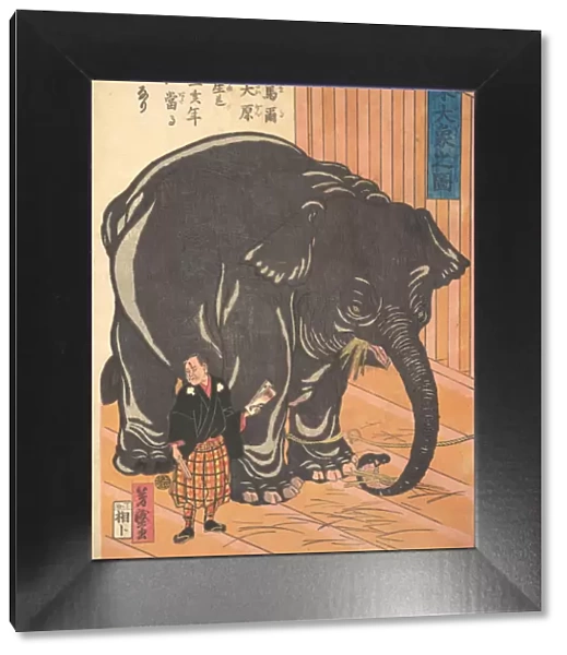 View of the Large Imported Elephant, 1863 (Bunkyo 3, 4th month)