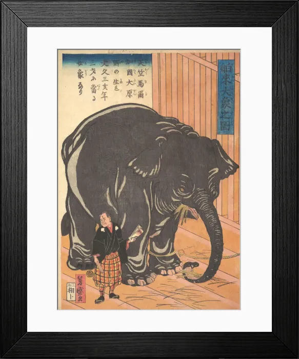 Framed Print : View of the Large Imported Elephant, 1863 (Bunkyo 3, 4th month) Framed Print : View of the Large Imported Elephant, 1863 (Bunkyo 3, 4th month)