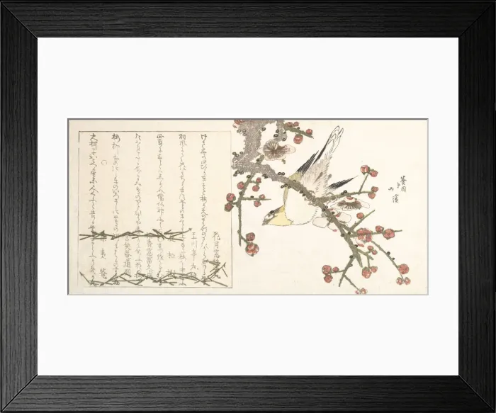 Framed Print : Bush Warbler on a Plum Branch (Ume ni uguisu), early 19th century. Creator: Totoya Hokkei Framed Print : Bush Warbler on a Plum Branch (Ume ni uguisu), early 19th century. Creator: Totoya Hokkei