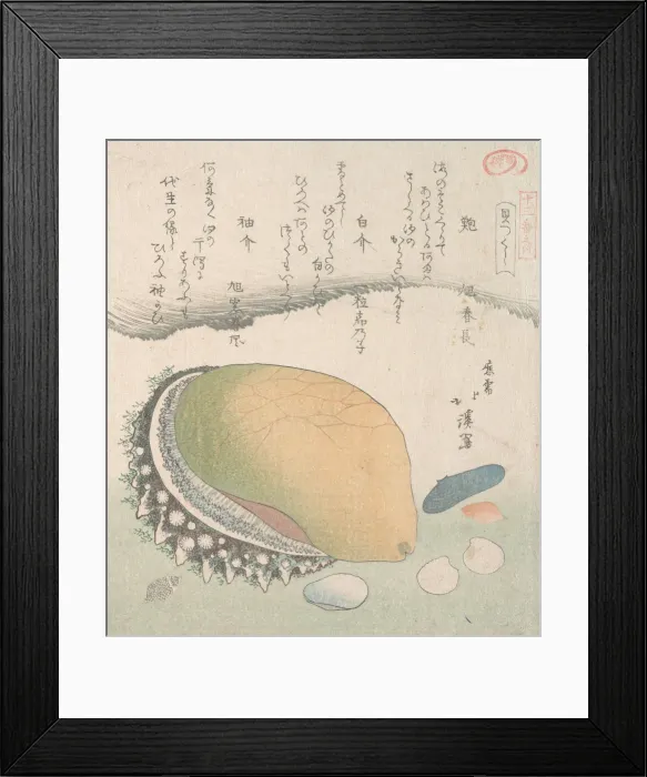 Framed Print : Awabi (Ear-Shell) and Various Shells, 19th century. Creator: Totoya Hokkei Framed Print : Awabi (Ear-Shell) and Various Shells, 19th century. Creator: Totoya Hokkei