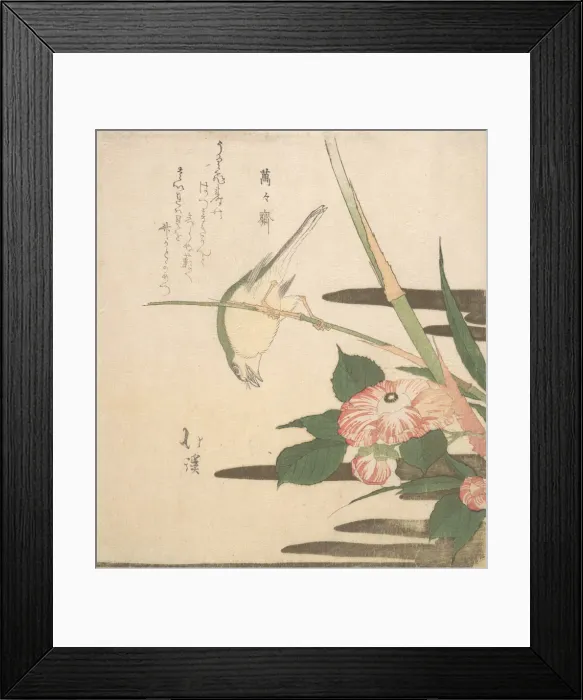 Framed Print : Warbler and Camellia, ca. 1815-20. Creator: Totoya Hokkei Framed Print : Warbler and Camellia, ca. 1815-20. Creator: Totoya Hokkei