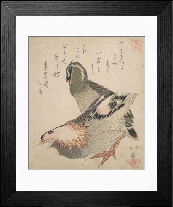 Framed Print : Two Birds. Creator: Totoya Hokkei Framed Print : Two Birds. Creator: Totoya Hokkei
