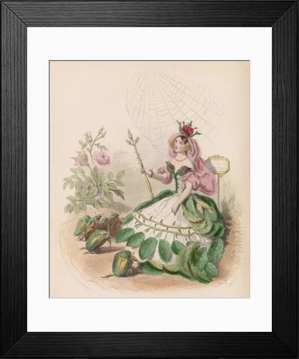 Framed Print : Les Fleurs Animees, 1867. Creator: Charles-Michel Geoffroy Framed Print : Les Fleurs Animees, 1867. Creator: Charles-Michel Geoffroy