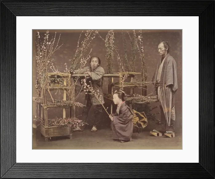 Framed Print : [Two Japanese Men and One Japanese Woman Posing with Flowering Branches], 1870s