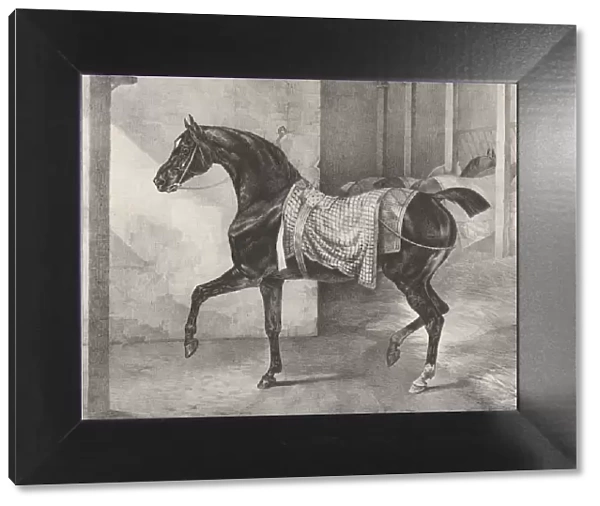 Black Horse Tethered in a Stable, 1822. Creator: Theodore Gericault