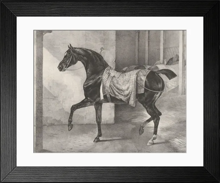 Framed Print : Black Horse Tethered in a Stable, 1822. Creator: Theodore Gericault Framed Print : Black Horse Tethered in a Stable, 1822. Creator: Theodore Gericault