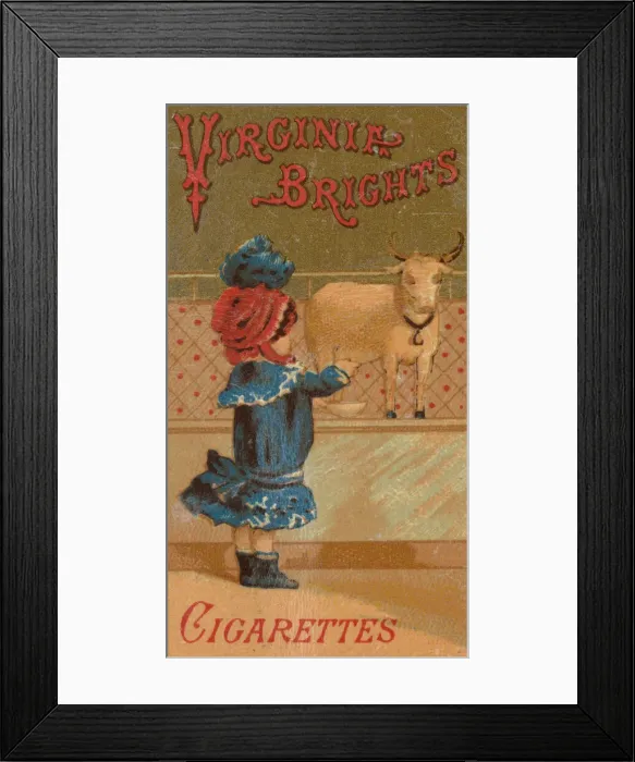 Framed Print : From the Girls and Children series (N64) promoting Virginia Brights Cigarettes for Allen Framed Print : From the Girls and Children series (N64) promoting Virginia Brights Cigarettes for Allen