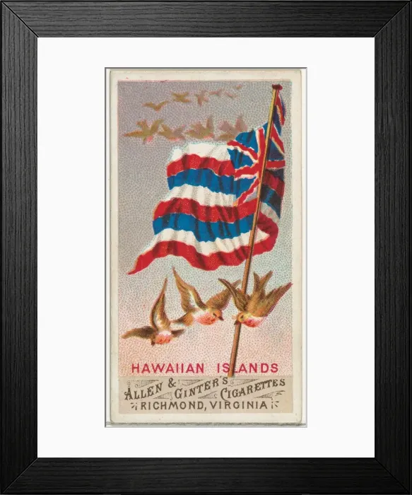 Framed Print : Hawaiian Islands, from Flags of All Nations, Series 1 (N9) for Allen & Framed Print : Hawaiian Islands, from Flags of All Nations, Series 1 (N9) for Allen &