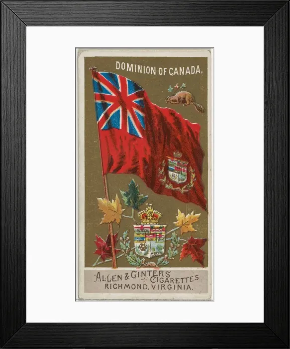 Framed Print : Dominion of Canada, from Flags of All Nations, Series 2 (N10) for Allen & Framed Print : Dominion of Canada, from Flags of All Nations, Series 2 (N10) for Allen &