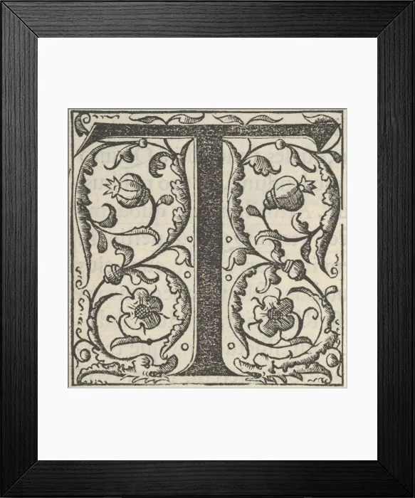 Framed Print : Initial letter T with garlands, mid-16th century. Creator: Unknown Framed Print : Initial letter T with garlands, mid-16th century. Creator: Unknown