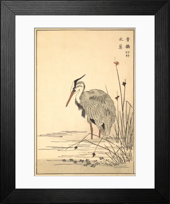 Framed Print : Gray Heron (Aosagi) and Mizu-aoi Plant, 1857. Creator: Unknown Framed Print : Gray Heron (Aosagi) and Mizu-aoi Plant, 1857. Creator: Unknown