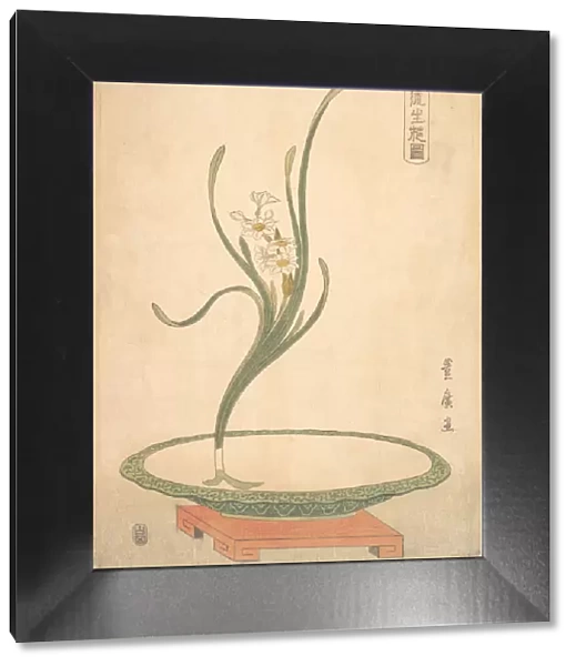 Flower Arrangement of Suisen (Narcissus) in a Flat Green Dish. Creator: Utagawa Toyohiro