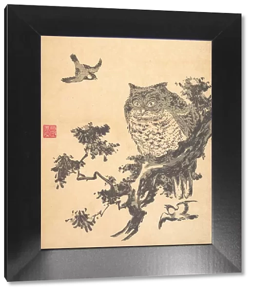 Owl and Two Swallows. Creator: Utagawa Toyohiro