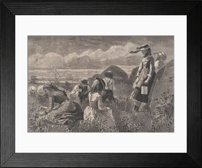 Framed Print : Gathering Berries (Harpers Weekly, Vol. XVIII), July 11, 1874. Creator: W. H. Lagarde Framed Print : Gathering Berries (Harpers Weekly, Vol. XVIII), July 11, 1874. Creator: W. H. Lagarde