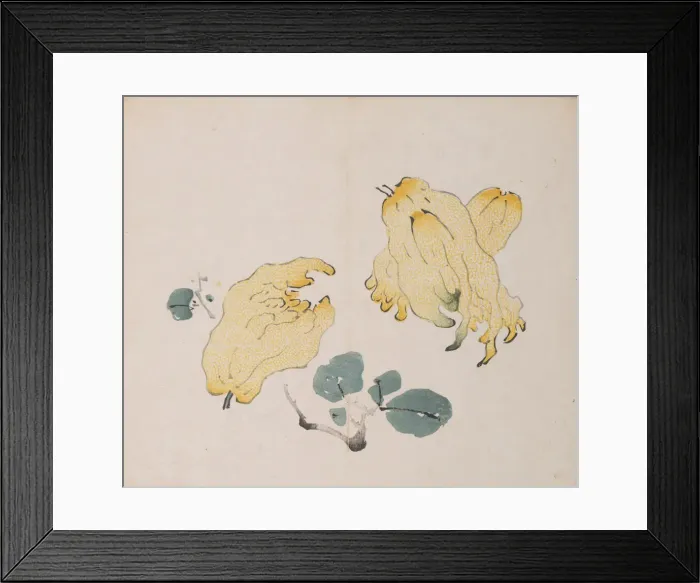 Framed Print : Page from Shi Zhu Zhai. Creator: Unknown Framed Print : Page from Shi Zhu Zhai. Creator: Unknown