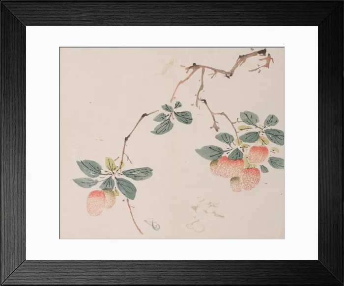 Framed Print : Page from Shi Zhu Zhai. Creator: Unknown Framed Print : Page from Shi Zhu Zhai. Creator: Unknown