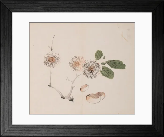 Framed Print : Page from Shi Zhu Zhai. Creator: Unknown Framed Print : Page from Shi Zhu Zhai. Creator: Unknown