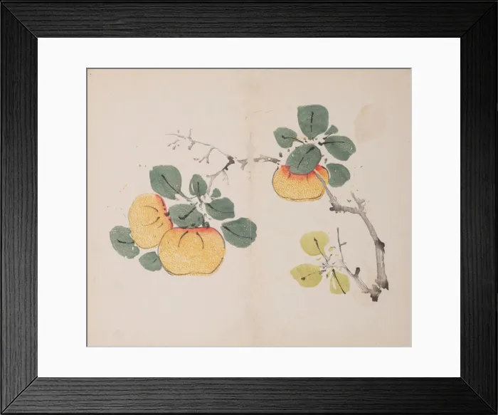 Framed Print : Page from Shi Zhu Zhai. Creator: Unknown Framed Print : Page from Shi Zhu Zhai. Creator: Unknown