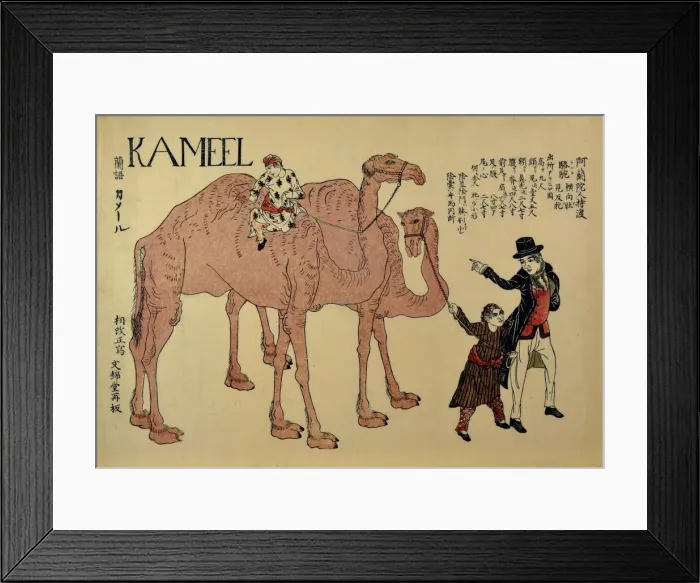 Framed Print : Camels with Dutch Handlers, ca. 1821. Creator: Unknown Framed Print : Camels with Dutch Handlers, ca. 1821. Creator: Unknown
