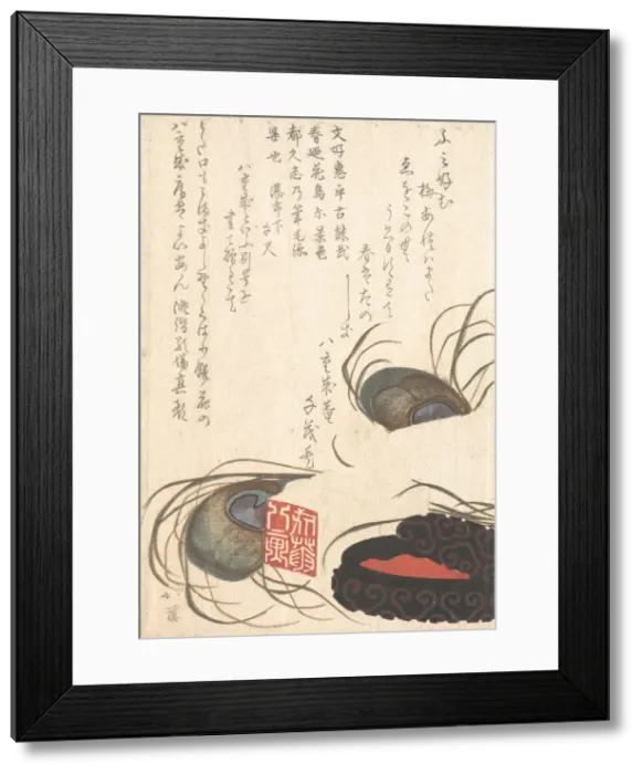 Framed Print : Seal-stone and Seal-ink with Peacock Feathers, from Spring Rain Surimono Album (H Framed Print : Seal-stone and Seal-ink with Peacock Feathers, from Spring Rain Surimono Album (H