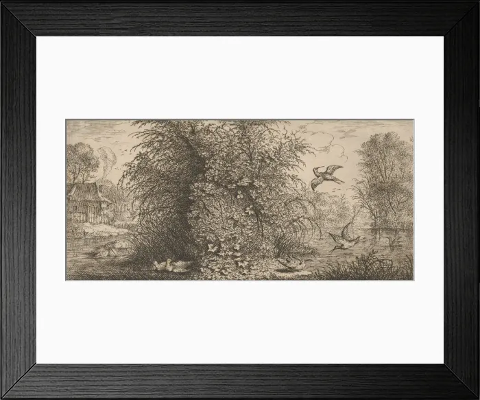 Framed Print : Rusticula minor, Beccassine (The Snipe): Livre d Oyseaux (Book of Birds), 1655-1660 Framed Print : Rusticula minor, Beccassine (The Snipe): Livre d Oyseaux (Book of Birds), 1655-1660