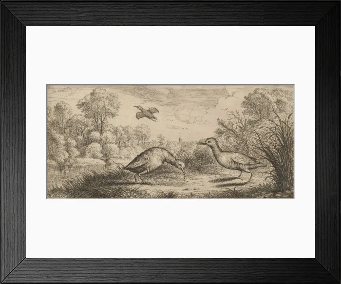 Framed Print : Ortygometra, Ralle (The Rail): Livre d Oyseaux (Book of Birds), 1655-1660 Framed Print : Ortygometra, Ralle (The Rail): Livre d Oyseaux (Book of Birds), 1655-1660