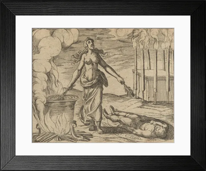 Framed Print : Medea Restoring Aesons Youth (Aesoni decerptio iuventam restituit Medea) Framed Print : Medea Restoring Aesons Youth (Aesoni decerptio iuventam restituit Medea)
