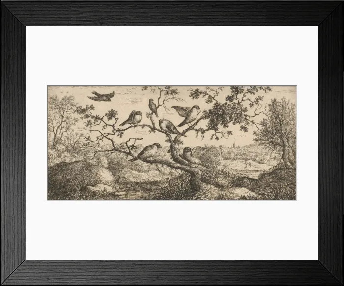Framed Print : Ficedula, Piuoyne (The Bullfinch): Livre d Oyseaux (Book of Birds), 1655-1660 Framed Print : Ficedula, Piuoyne (The Bullfinch): Livre d Oyseaux (Book of Birds), 1655-1660