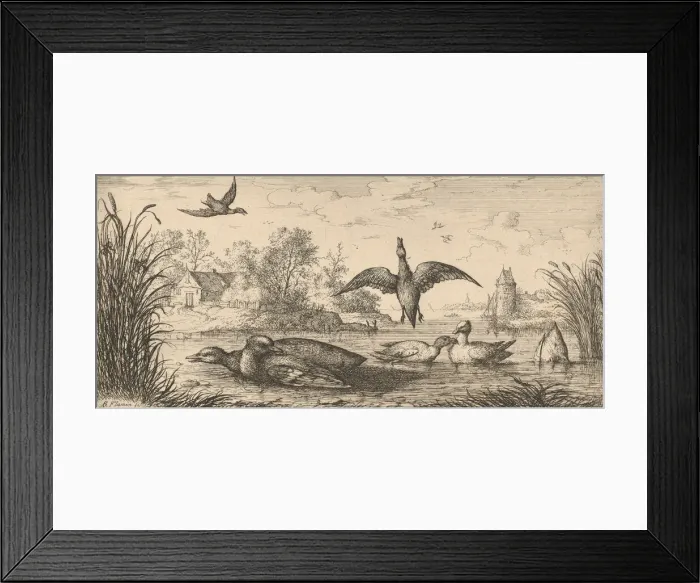 Framed Print : Querquedula, Cercelle (The Teal): Livre d Oyseaux (Book of Birds), 1655-1660 Framed Print : Querquedula, Cercelle (The Teal): Livre d Oyseaux (Book of Birds), 1655-1660