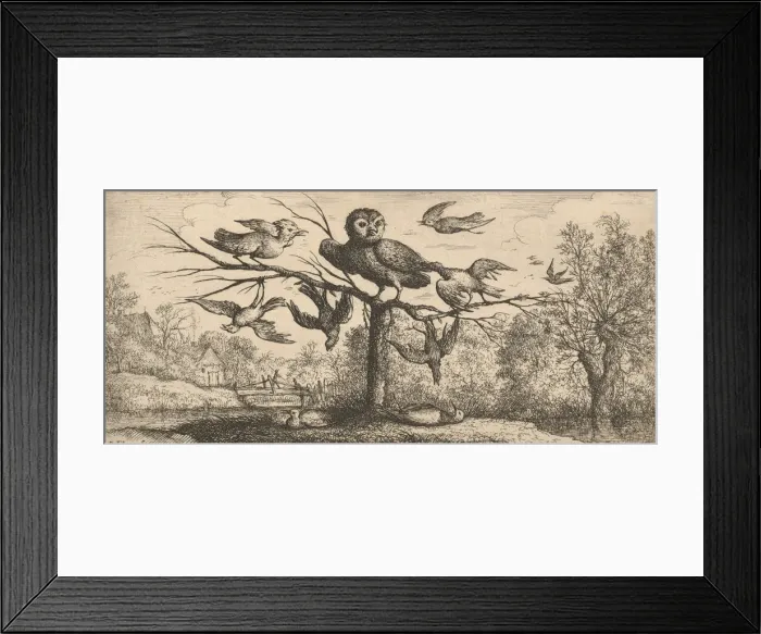 Framed Print : Monedula, Chouette (The Owl): Livre d Oyseaux (Book of Birds), 1655-1660 Framed Print : Monedula, Chouette (The Owl): Livre d Oyseaux (Book of Birds), 1655-1660