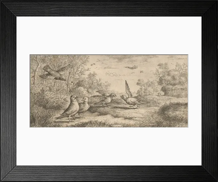 Framed Print : Garrulus, Gey (The Jay): Livre d Oyseaux (Book of Birds), 1655-1660 Framed Print : Garrulus, Gey (The Jay): Livre d Oyseaux (Book of Birds), 1655-1660