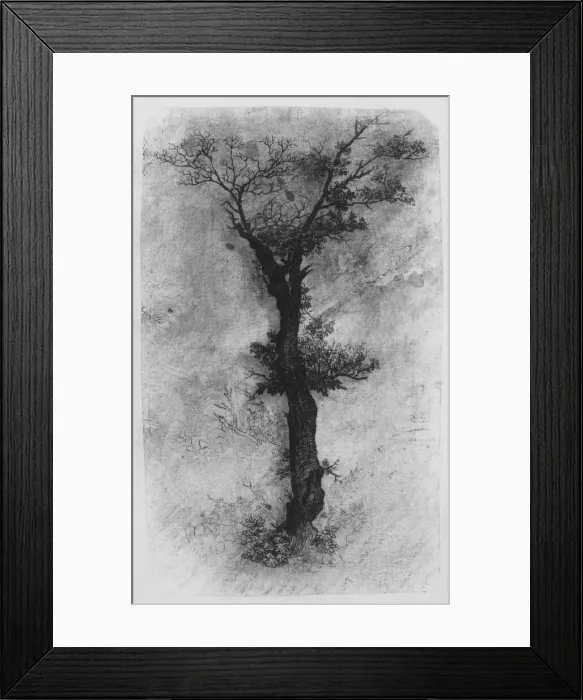 Framed Print : Etude d un Arbre (Study of a Tree), 19th century. Creator: Rodolphe Bresdin Framed Print : Etude d un Arbre (Study of a Tree), 19th century. Creator: Rodolphe Bresdin